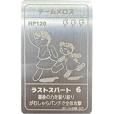 Amazon.co.jp 最新リリース: 格闘技ファングッズ の新着